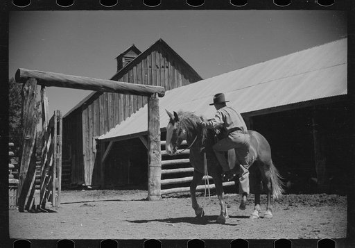 Untitled photo, possibly related to: Jack Arnold saddling a horse, Quarter Circle U Ranch, Montana