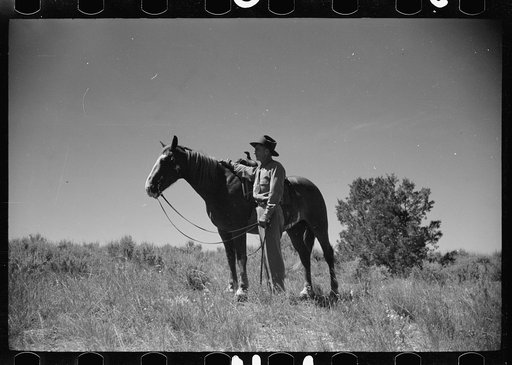 Untitled photo, possibly related to: Jack Arnold looking over the Quarter Circle U Ranch which he owns, Rosebud County, Montana