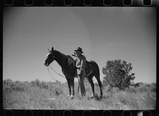 Untitled photo, possibly related to: Jack Arnold looking over the Quarter Circle U Ranch which he owns, Rosebud County, Montana