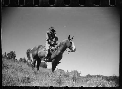 Untitled photo, possibly related to: Jack Arnold looking over the Quarter Circle U Ranch which he owns, Rosebud County, Montana