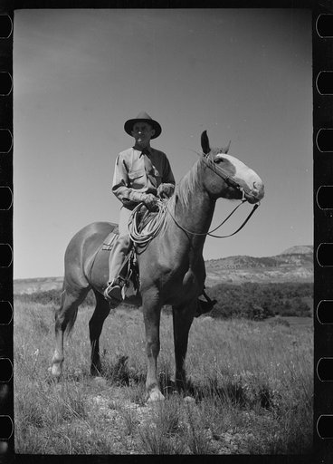Untitled photo, possibly related to: Jack Arnold looking over the Quarter Circle U Ranch which he owns, Rosebud County, Montana