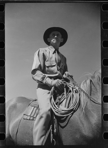 Untitled photo, possibly related to: Jack Arnold looking over the Quarter Circle U Ranch which he owns, Rosebud County, Montana