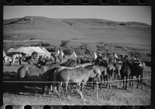 Untitled photo, possibly related to: Setting up the roundup camp, Quarter Circle U Ranch roundup, Montana