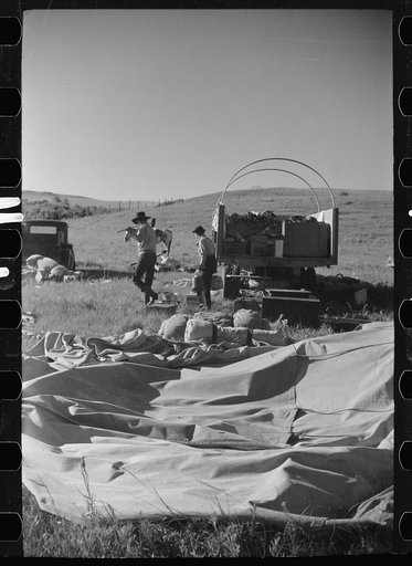 Setting up camp, Quarter Circle U roundup, Montana