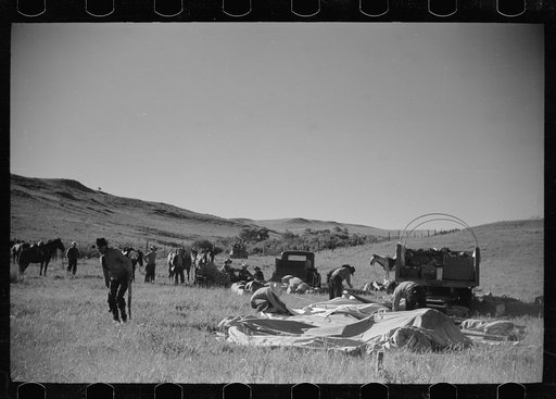 Untitled photo, possibly related to: Setting up camp, Quarter Circle U roundup, Montana