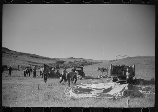 Untitled photo, possibly related to: Setting up camp, Quarter Circle U roundup, Montana