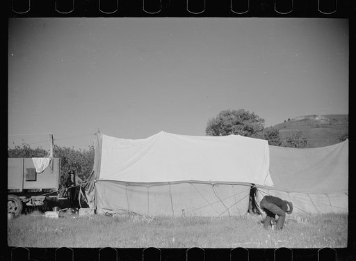 Untitled photo, possibly related to: Setting up camp, Quarter Circle U roundup, Montana