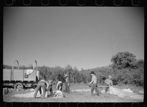 Untitled photo, possibly related to: Setting up the roundup camp, Quarter Circle U Ranch roundup, Montana