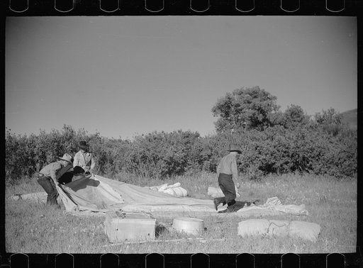Untitled photo, possibly related to: Setting up the roundup camp, Quarter Circle U Ranch roundup, Montana