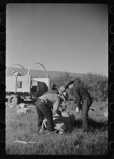 Untitled photo, possibly related to: Setting up the roundup camp, Quarter Circle U Ranch roundup, Montana