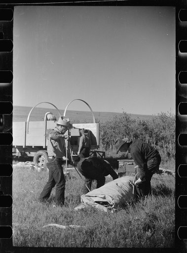 Untitled photo, possibly related to: Setting up the roundup camp, Quarter Circle U Ranch roundup, Montana