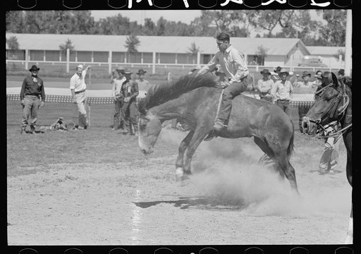 Untitled photo, possibly related to: Riding a bucking horse, rodeo, Miles City, Montana