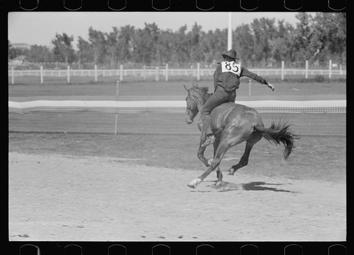 Untitled photo, possibly related to: Riding a bucking horse, rodeo, Miles City, Montana