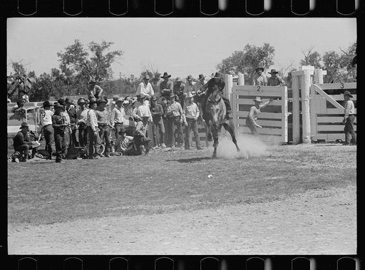 Untitled photo, possibly related to: Riding a bucking horse, rodeo, Miles City, Montana