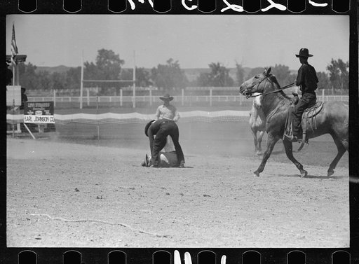 Untitled photo, possibly related to: Riding a bucking horse, rodeo, Miles City, Montana