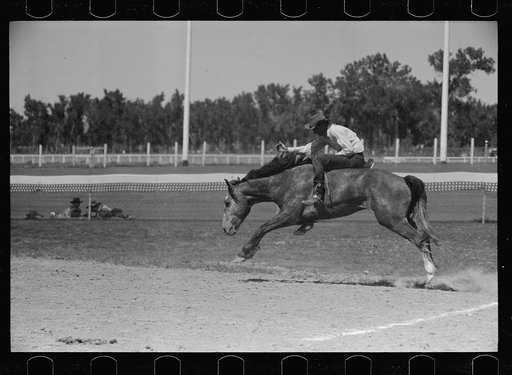 Untitled photo, possibly related to: Riding a bucking horse, rodeo, Miles City, Montana
