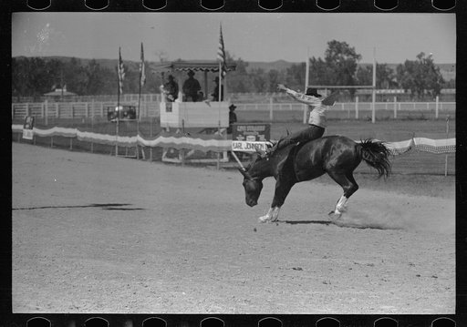 Untitled photo, possibly related to: Riding a bucking horse, rodeo, Miles City, Montana