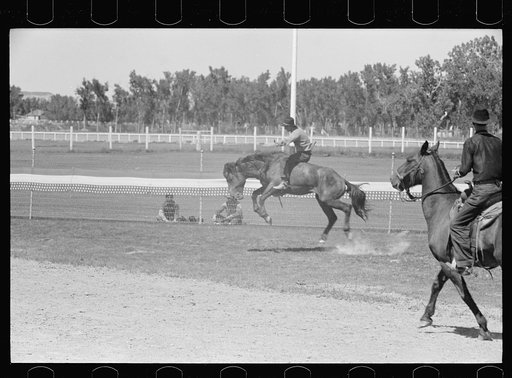 Untitled photo, possibly related to: Riding a bucking horse, rodeo, Miles City, Montana