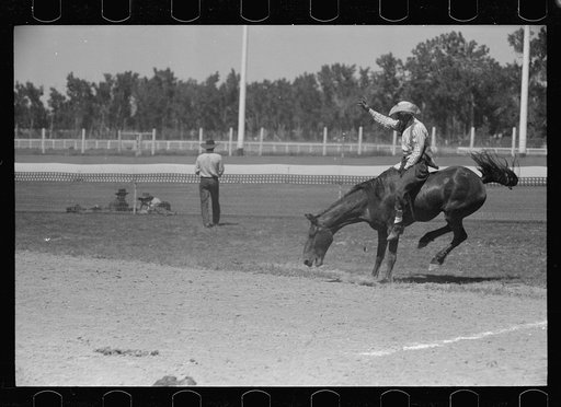 Untitled photo, possibly related to: Riding a bucking horse, rodeo, Miles City, Montana