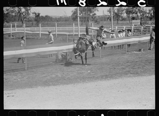 Untitled photo, possibly related to: Bronco rider, rodeo, Miles City, Montana