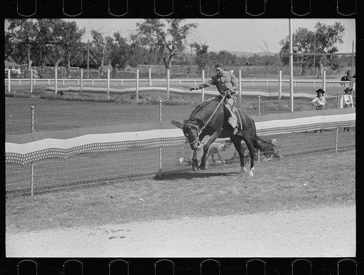 Bronco rider, rodeo, Miles City, Montana