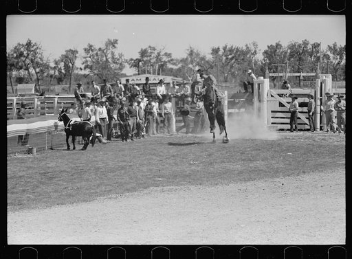 Untitled photo, possibly related to: Bronco rider, rodeo, Miles City, Montana
