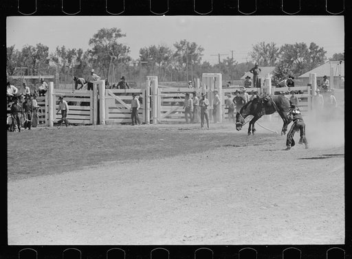 Untitled photo, possibly related to: Bronco rider, rodeo, Miles City, Montana