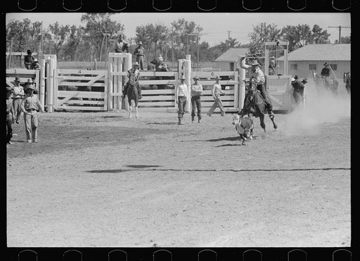 Untitled photo, possibly related to: Roping a calf, rodeo, Miles City, Montana