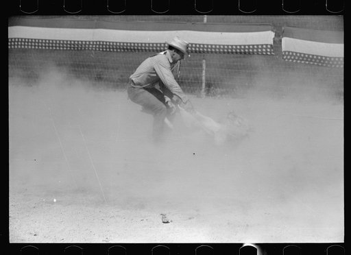 Untitled photo, possibly related to: Roping a calf, rodeo, Miles City, Montana