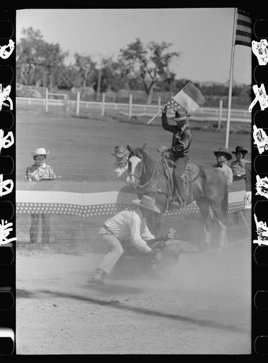 Untitled photo, possibly related to: Roping a calf, rodeo, Miles City, Montana