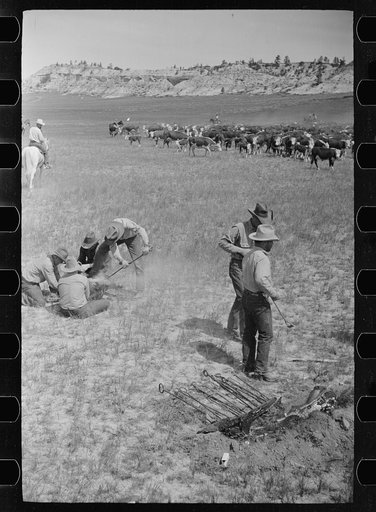 Branding, Quarter Circle U Ranch roundup, Montana