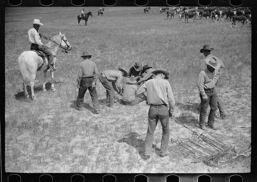 Untitled photo, possibly related to: Branding, Quarter Circle U Ranch roundup, Montana