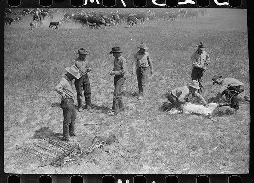 Untitled photo, possibly related to: Branding, Quarter Circle U Ranch roundup, Montana