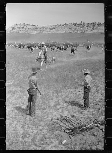 Untitled photo, possibly related to: Branding, Quarter Circle U Ranch roundup, Montana