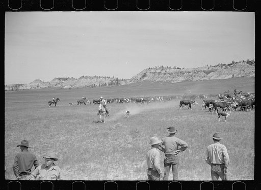 Untitled photo, possibly related to: Branding, Quarter Circle U Ranch roundup, Montana