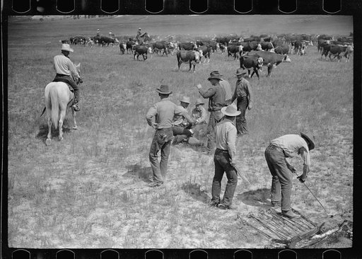 Untitled photo, possibly related to: Branding at Quarter Circle U Ranch roundup, Montana