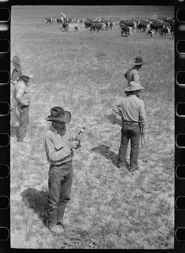 Untitled photo, possibly related to: Branding at Quarter Circle U Ranch roundup, Montana
