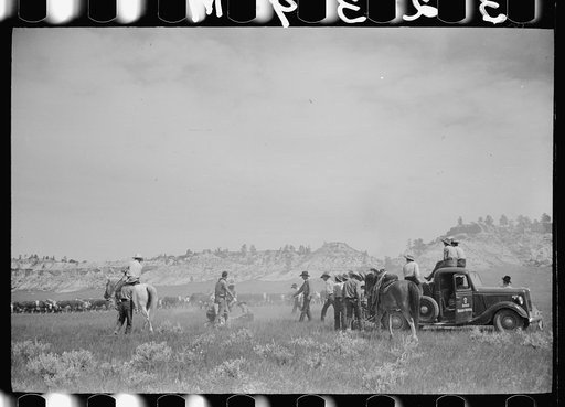 Untitled photo, possibly related to: Branding at Quarter Circle U Ranch roundup, Montana