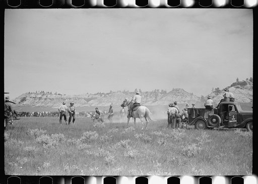 Untitled photo, possibly related to: Branding at Quarter Circle U Ranch roundup, Montana