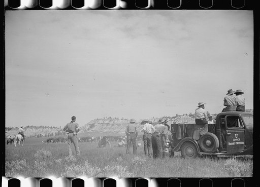 Untitled photo, possibly related to: Branding at Quarter Circle U Ranch roundup, Montana