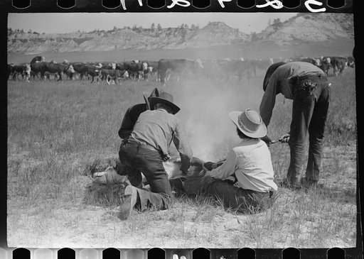 Untitled photo, possibly related to: Branding, Quarter Circle U Ranch roundup, Montana