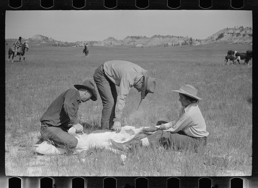 Untitled photo, possibly related to: Branding, Quarter Circle U Ranch roundup, Montana