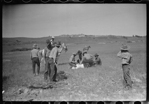 Untitled photo, possibly related to: Branding, Quarter Circle U Ranch roundup, Montana