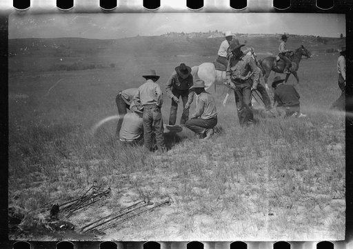 Untitled photo, possibly related to: Branding, Quarter Circle U Ranch roundup, Montana