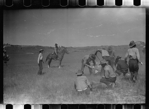 Untitled photo, possibly related to: Branding, Quarter Circle U Ranch roundup, Montana