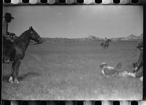 Untitled photo, possibly related to: "Rassling" a calf, Quarter Circle U Ranch roundup, Montana