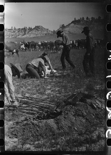 Untitled photo, possibly related to: Branding, Quarter Circle U Ranch roundup, Montana