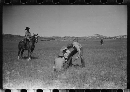 Untitled photo, possibly related to: Branding, Quarter Circle U Ranch roundup, Montana