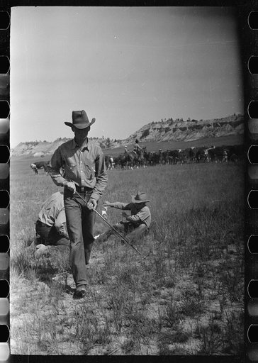 Untitled photo, possibly related to: Branding, Quarter Circle U Ranch roundup, Montana