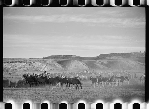 Untitled photo, possibly related to: Rope corral, Quarter Circle U Ranch roundup, Montana